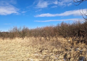 działka na sprzedaż - Zielonki, Brzozówka Korzkiewska