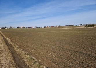 działka na sprzedaż - Iwanowice, Sieciechowice