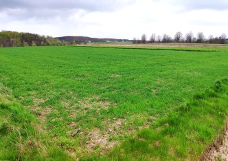 działka na sprzedaż - Skała (gw), Przybysławice