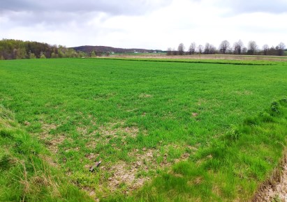 działka na sprzedaż - Skała (gw), Przybysławice