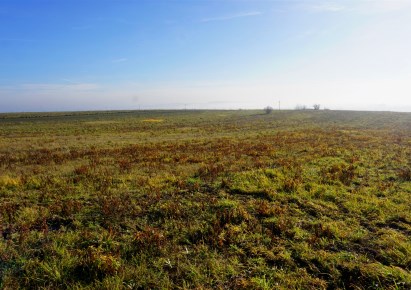działka na sprzedaż - Iwanowice, Iwanowice Włościańskie