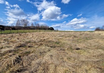 działka na sprzedaż - Skała (gw), Smardzowice