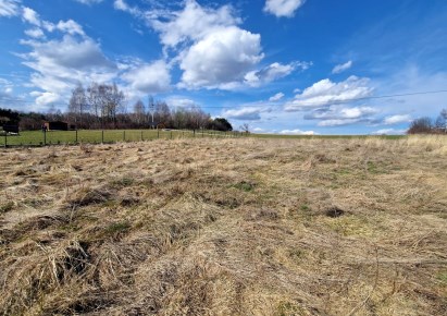 działka na sprzedaż - Skała (gw), Smardzowice