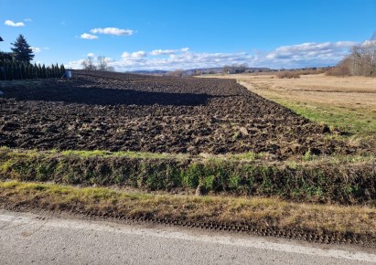działka na sprzedaż - Kocmyrzów-Luborzyca, Wilków
