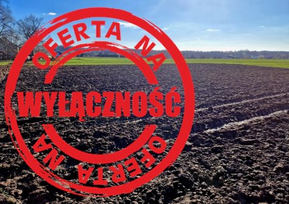 działka na sprzedaż - Kocmyrzów-Luborzyca, Wilków