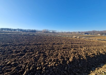 działka na sprzedaż - Zielonki, Owczary