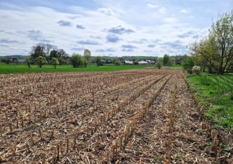 działka na sprzedaż - Kocmyrzów-Luborzyca, Goszcza
