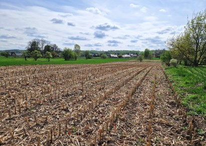 działka na sprzedaż - Kocmyrzów-Luborzyca, Goszcza