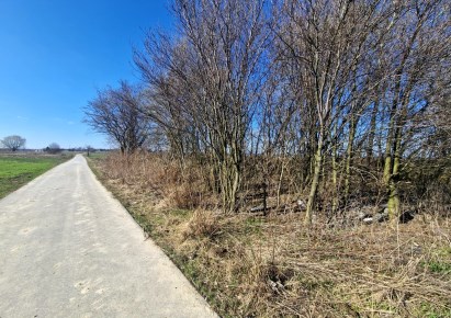 działka na sprzedaż - Skała