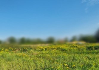 działka na sprzedaż - Zielonki, Marszowiec