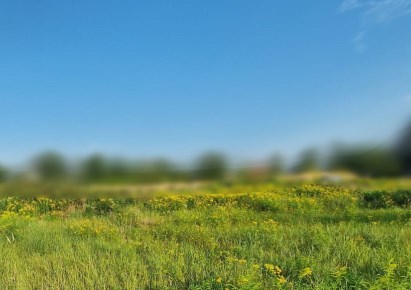 działka na sprzedaż - Zielonki, Marszowiec