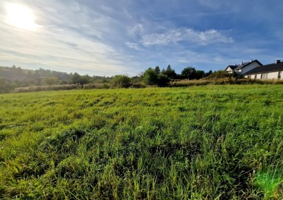 działka na sprzedaż - Zielonki, Owczary