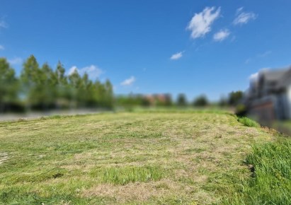 działka na sprzedaż - Wielka Wieś, Tomaszowice