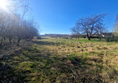 działka na sprzedaż - Skała (gw), Smardzowice