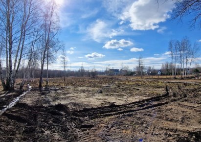 działka na sprzedaż - Skawina (gw), Borek Szlachecki