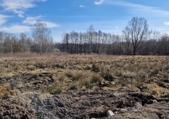 działka na sprzedaż - Skawina (gw), Borek Szlachecki