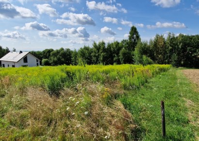 działka na sprzedaż - Wielka Wieś, Wierzchowie