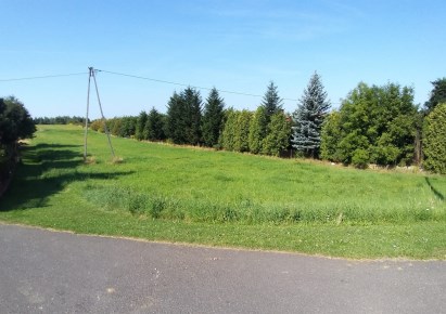działka na wynajem - Wielka Wieś, Bębło