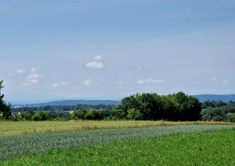 działka na sprzedaż - Zielonki, Bibice