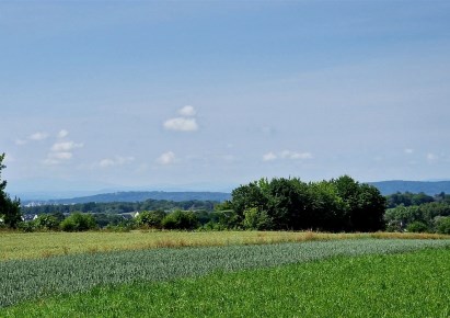 działka na sprzedaż - Zielonki, Bibice