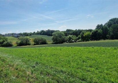 działka na sprzedaż - Zielonki, Bibice