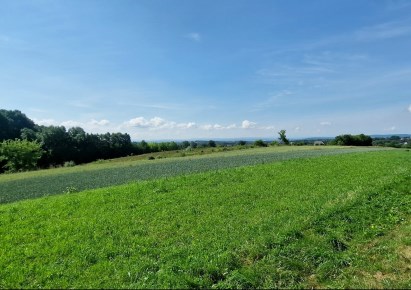 działka na sprzedaż - Zielonki, Bibice