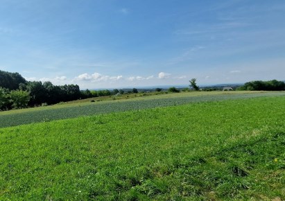 działka na sprzedaż - Zielonki, Bibice