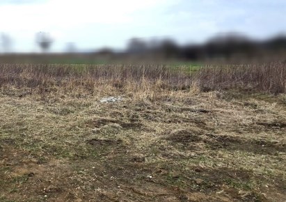 działka na sprzedaż - Kraków, Prądnik Biały, Witkowice