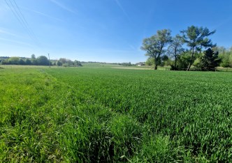 działka na sprzedaż - Skała (gw), Cianowice Małe