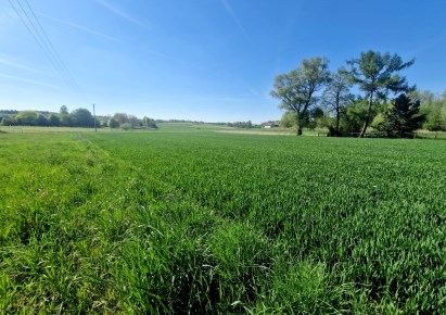 działka na sprzedaż - Skała (gw), Cianowice Małe