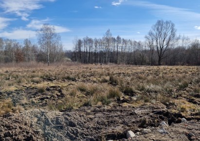 działka na sprzedaż - Skawina (gw), Borek Szlachecki