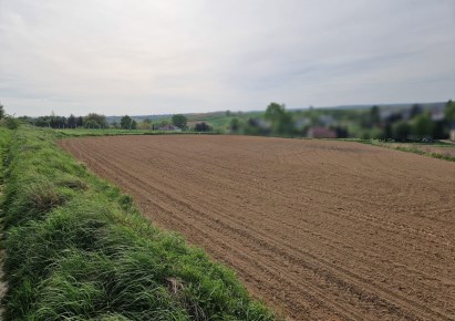 działka na sprzedaż - Michałowice (gw), Raciborowice