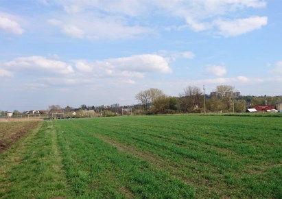 działka na wynajem - Zielonki, Węgrzce