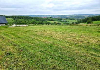 działka na sprzedaż - Michałowice (gw), Kozierów