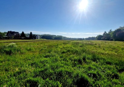 działka na sprzedaż - Czernichów, Rybna