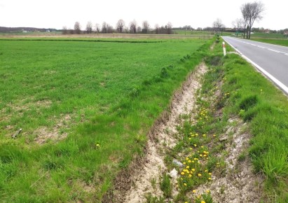 działka na sprzedaż - Skała (gw), Przybysławice