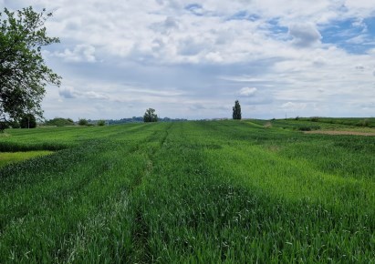 działka na sprzedaż - Michałowice (gw), Raciborowice