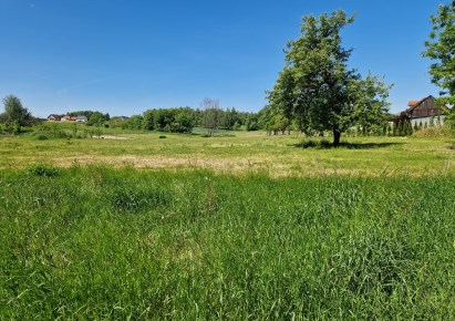 działka na sprzedaż - Skała (gw), Smardzowice