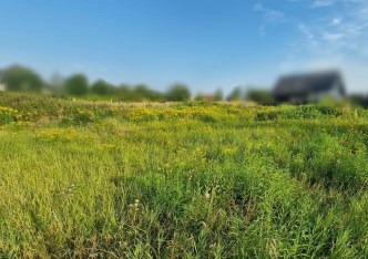 działka na sprzedaż - Zielonki, Marszowiec