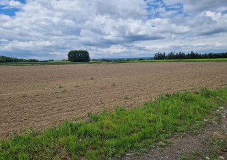 działka na sprzedaż - Iwanowice, Widoma