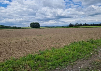 działka na sprzedaż - Iwanowice, Widoma