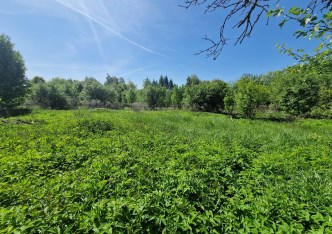 działka na sprzedaż - Zielonki, Brzozówka Korzkiewska