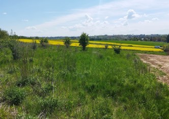 działka na sprzedaż - Michałowice (gw), Masłomiąca