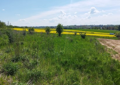 działka na sprzedaż - Michałowice (gw), Masłomiąca