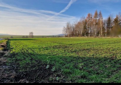 działka na sprzedaż - Zabierzów, Brzezinka
