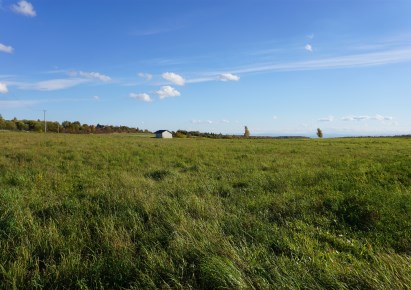 działka na sprzedaż - Jerzmanowice-Przeginia, Łazy