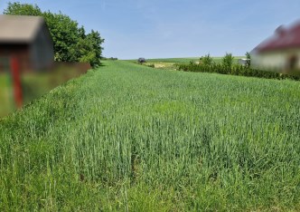 działka na sprzedaż - Michałowice (gw), Wola Więcławska