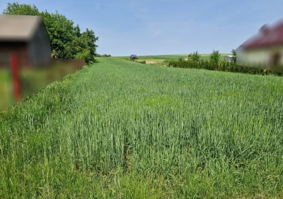 działka na sprzedaż - Michałowice (gw), Wola Więcławska