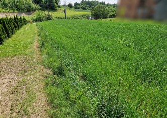działka na sprzedaż - Michałowice (gw), Wola Więcławska