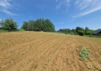 działka na sprzedaż - Zielonki, Wola Zachariaszowska